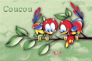 Gif animé coucou oiseaux